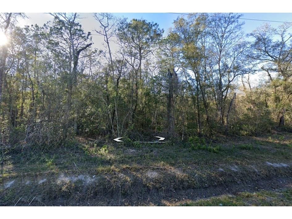 10535 Erickson Avenue Hastings FL 32145 OM713782 image1