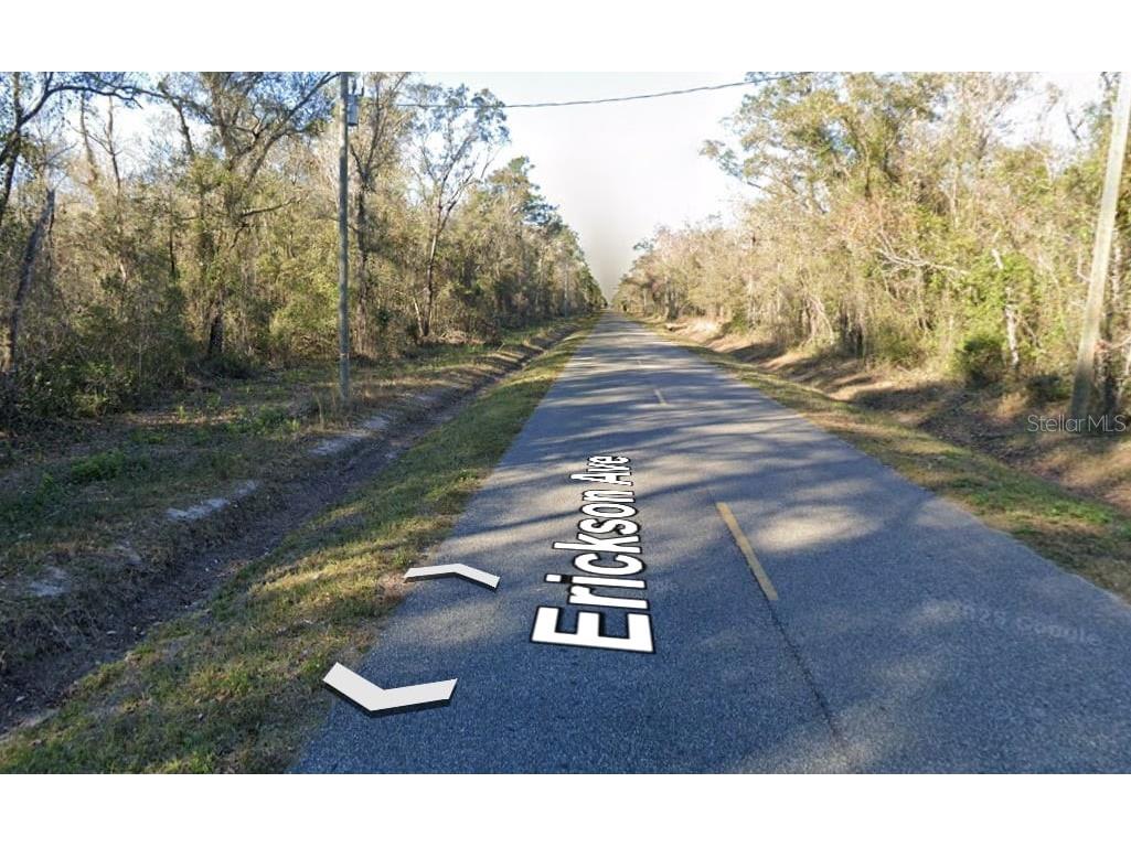 10535 Erickson Avenue Hastings FL 32145 OM713782 image2