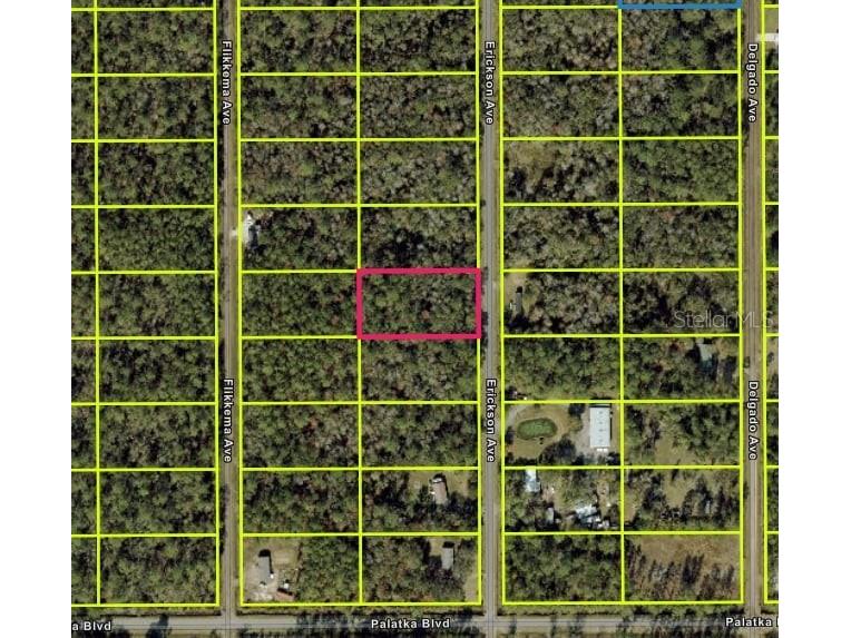 10535 Erickson Avenue Hastings FL 32145 OM713782 image3