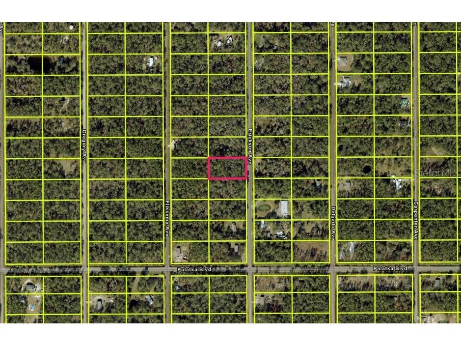 10535 Erickson Avenue Hastings FL 32145 OM713782 image4