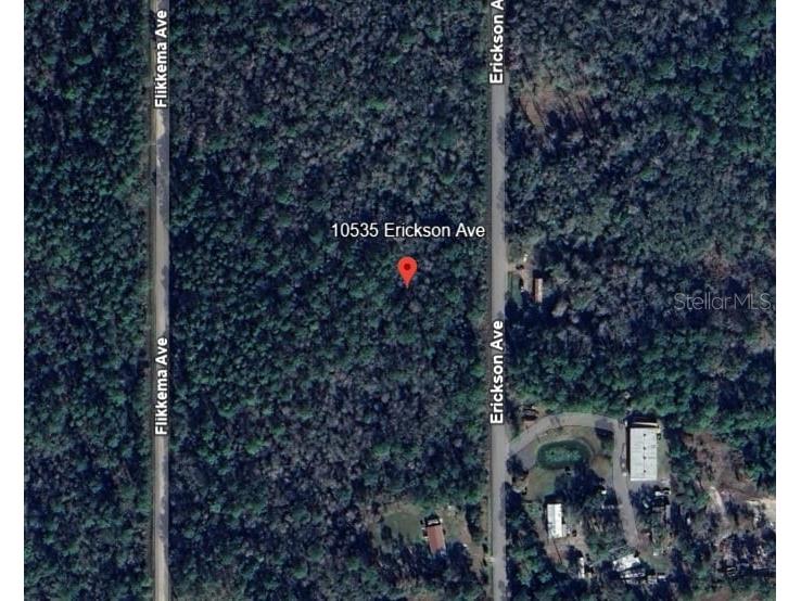 10535 Erickson Avenue Hastings FL 32145 OM713782 image5