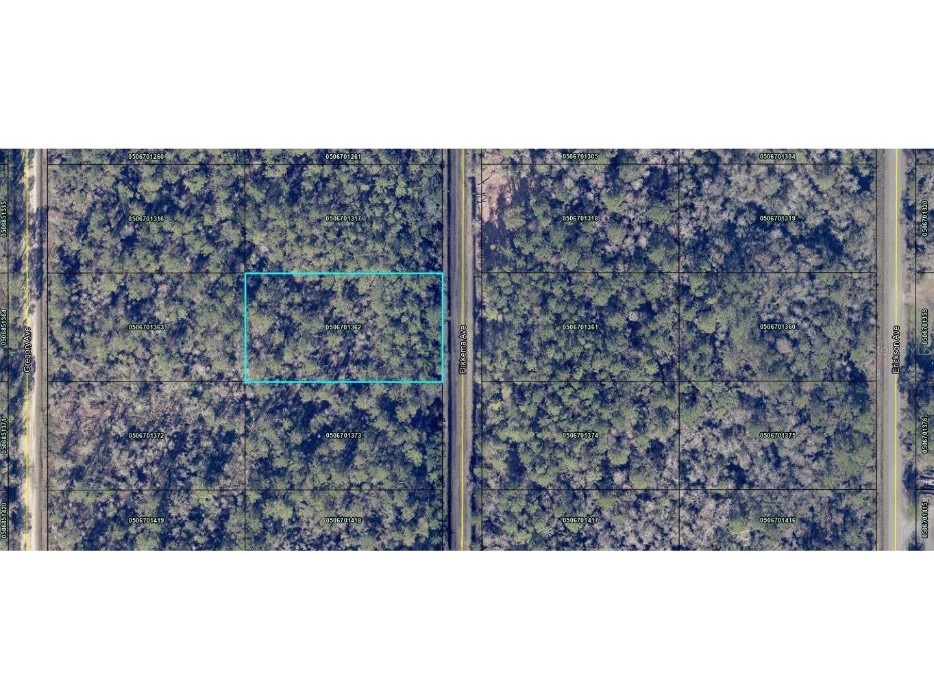 10535 Flikkema Ave Hastings FL 32145 FC306415 image1