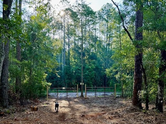 10535 Flikkema Ave Hastings FL 32145 FC314540 image1