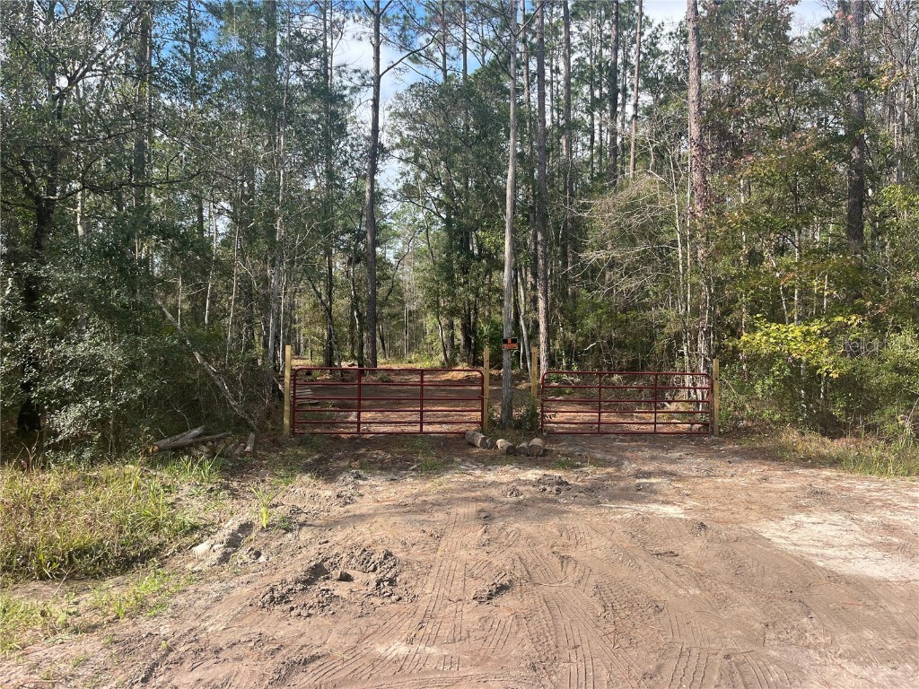 10535 Flikkema Ave Hastings FL 32145 FC314540 image2