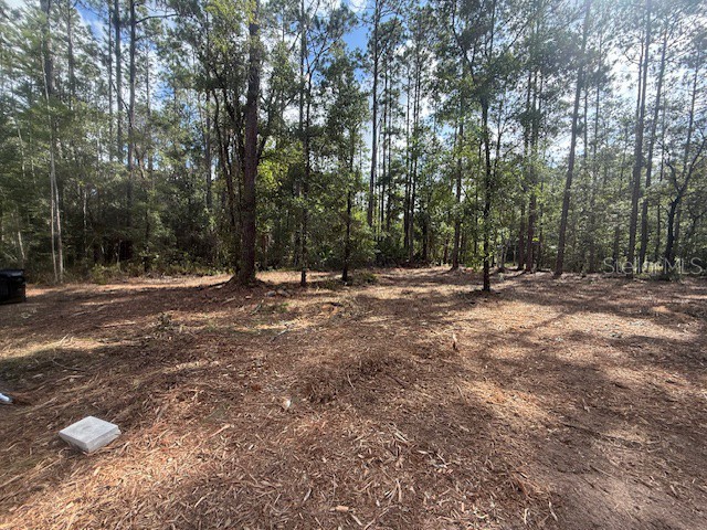 10535 Flikkema Ave Hastings FL 32145 FC314540 image3