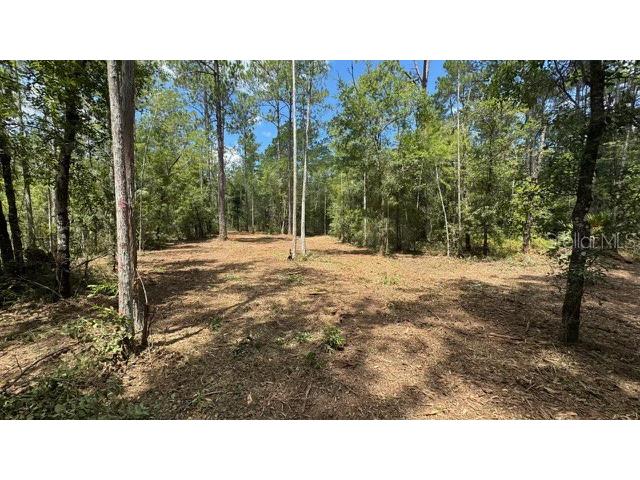 10535 Flikkema Ave Hastings FL 32145 FC314540 image4