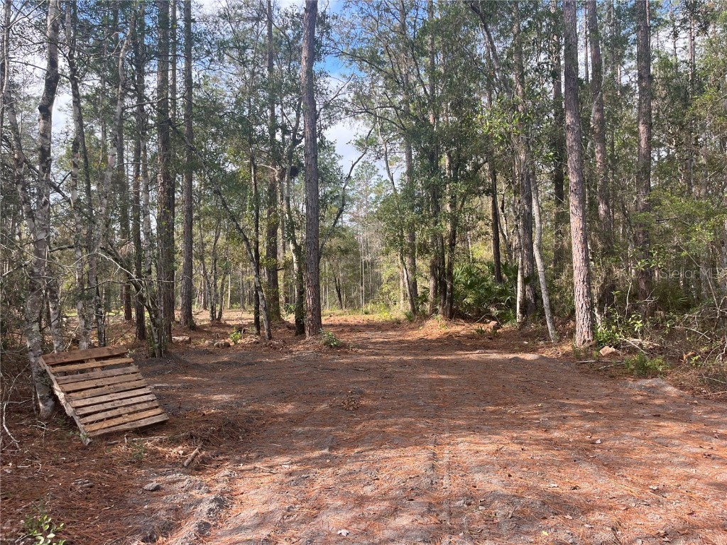 10535 Flikkema Ave Hastings FL 32145 FC314540 image5