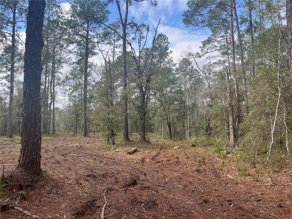 10535 Flikkema Ave Hastings FL 32145 FC314540 image6