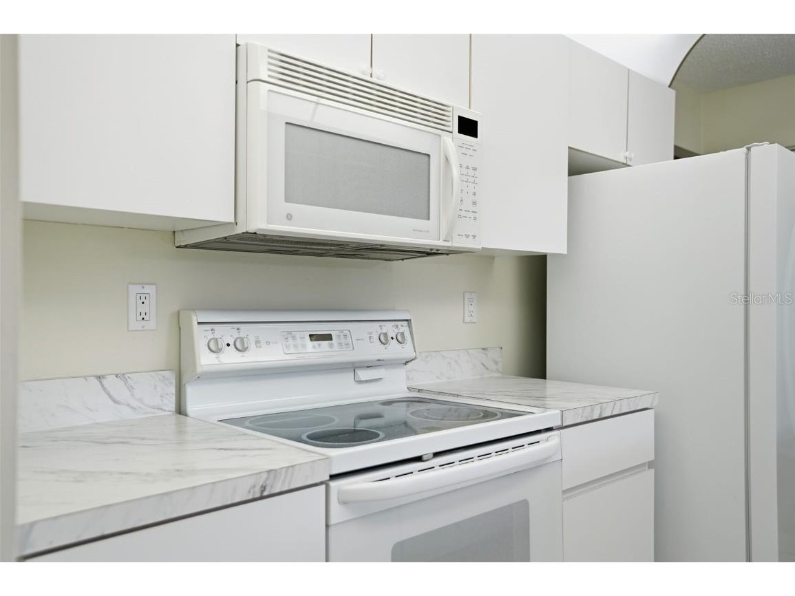 10535 Hardwood Court Port Richey FL 34668 W7881346 image11