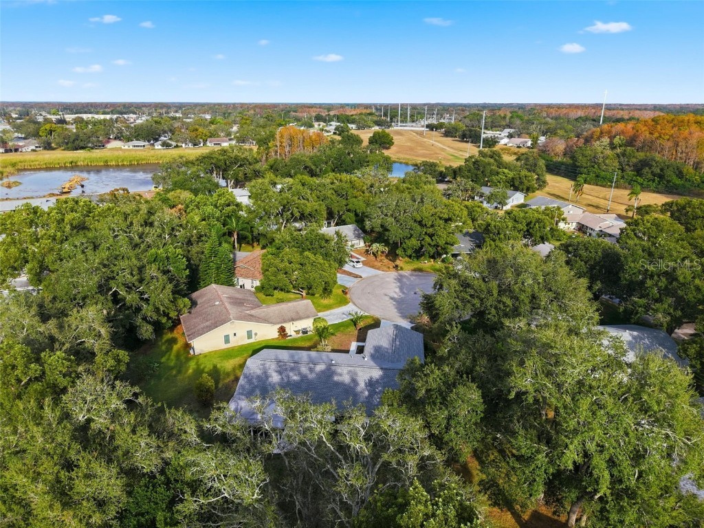 10535 Hardwood Court Port Richey FL 34668 W7881346 image38