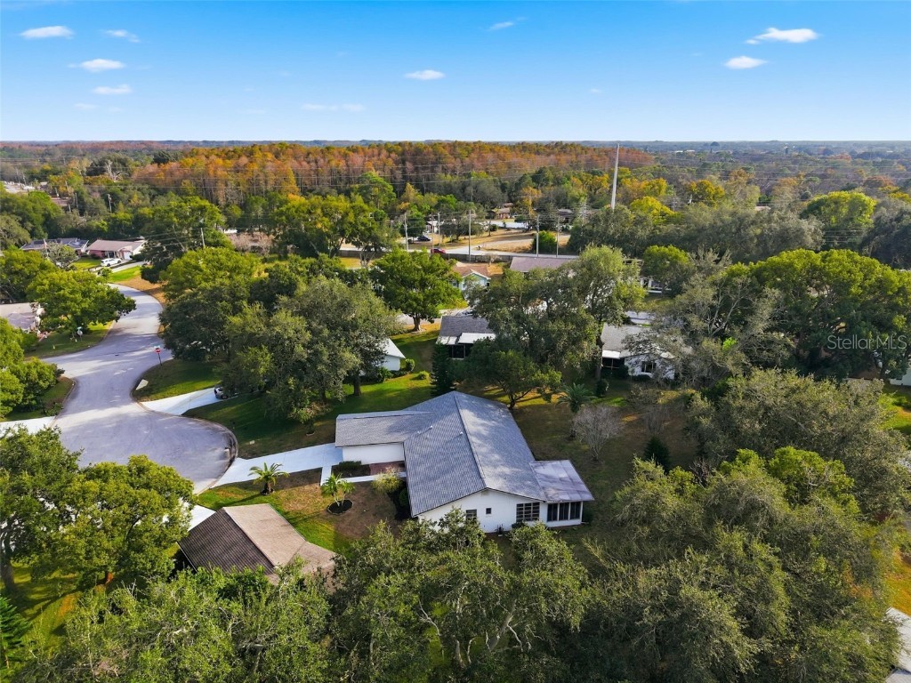 10535 Hardwood Court Port Richey FL 34668 W7881346 image40