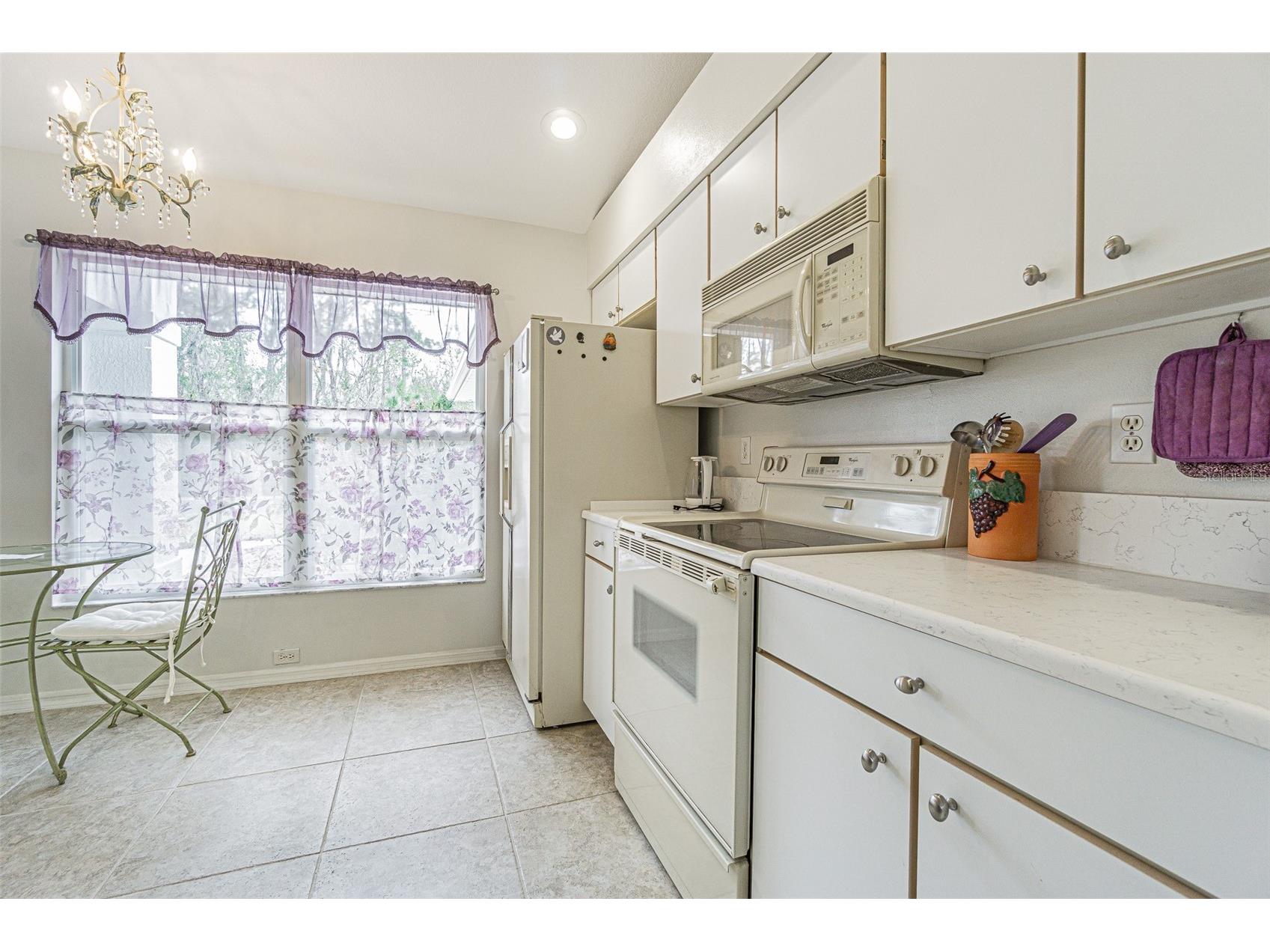 10535 Moshie Lane San Antonio FL 33576 TB8479860 image22