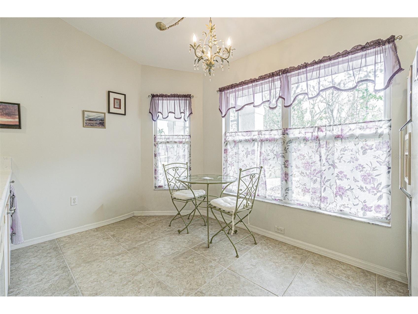 10535 Moshie Lane San Antonio FL 33576 TB8479860 image24