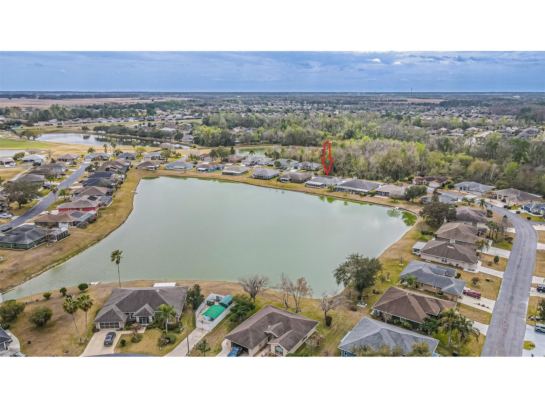 10535 Moshie Lane San Antonio FL 33576 TB8479860 image43