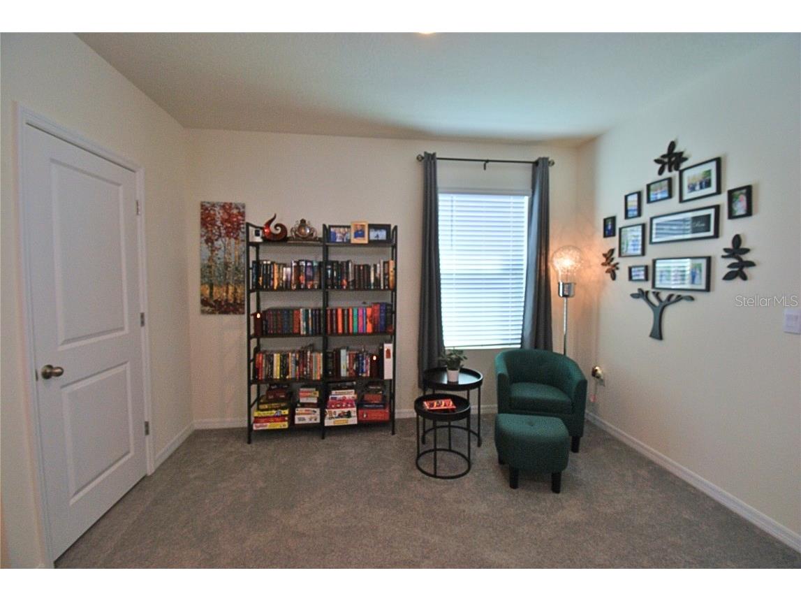 10535 Penny Gale Loop San Antonio FL 33576 TB8442818 image10