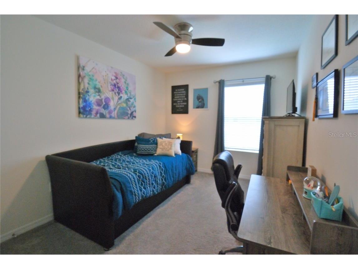 10535 Penny Gale Loop San Antonio FL 33576 TB8442818 image12