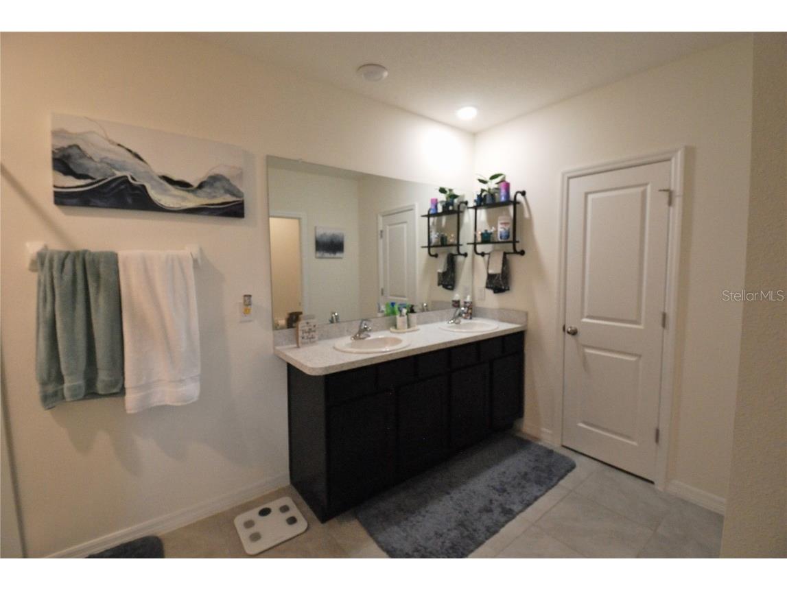 10535 Penny Gale Loop San Antonio FL 33576 TB8442818 image17