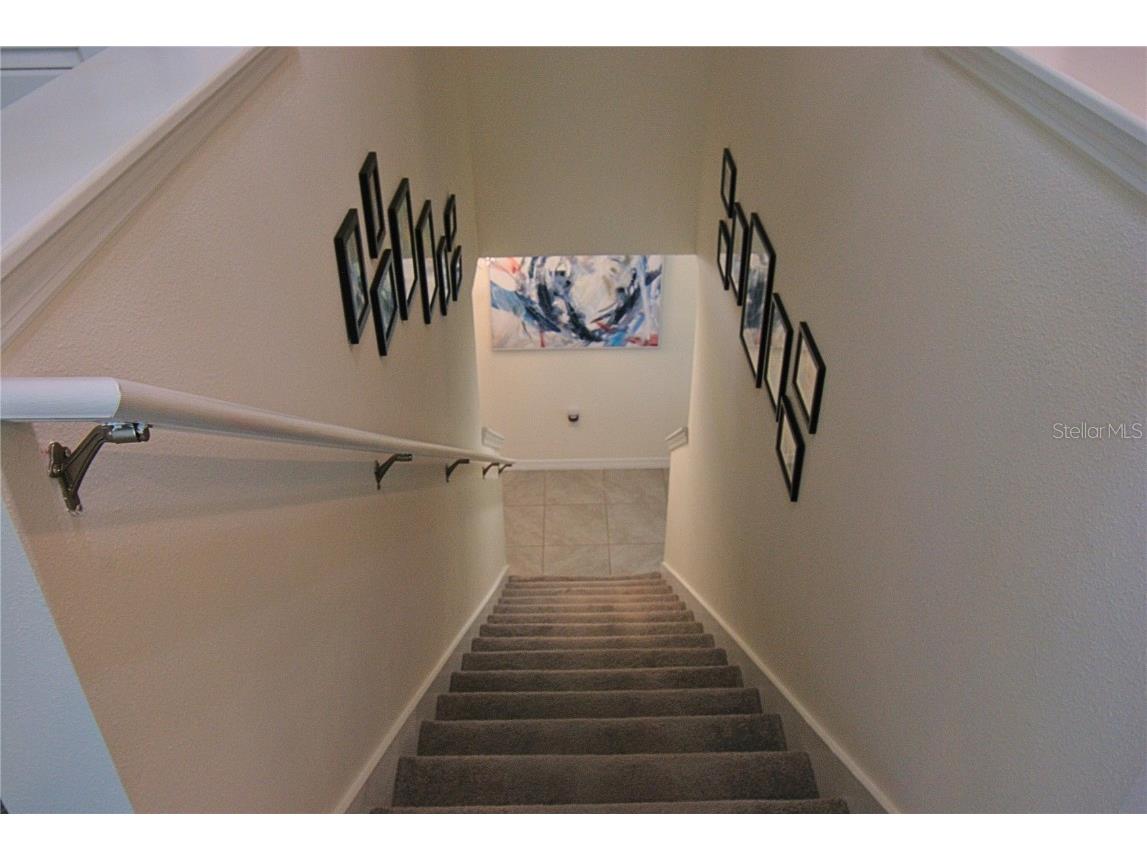 10535 Penny Gale Loop San Antonio FL 33576 TB8442818 image18