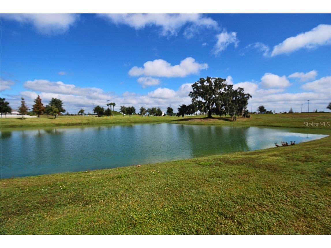 10535 Penny Gale Loop San Antonio FL 33576 TB8442818 image23