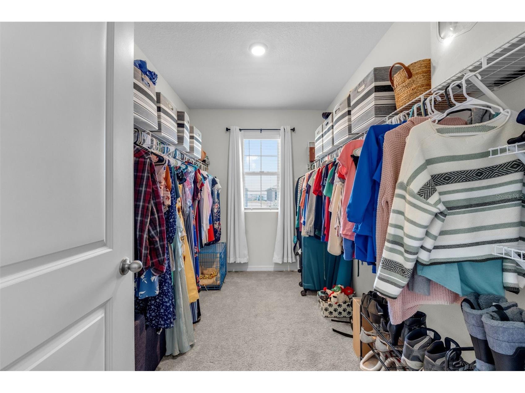 10535 Penny Gale Loop San Antonio FL 33576 TB8442818 image36