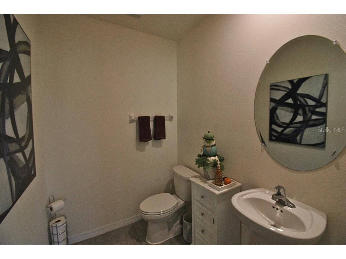 10535 Penny Gale Loop San Antonio FL 33576 TB8442818 image8