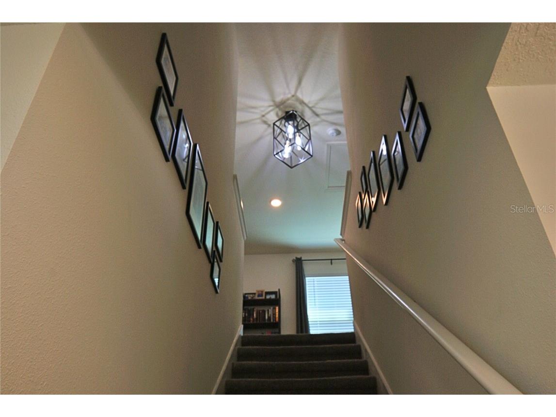 10535 Penny Gale Loop San Antonio FL 33576 TB8442818 image9