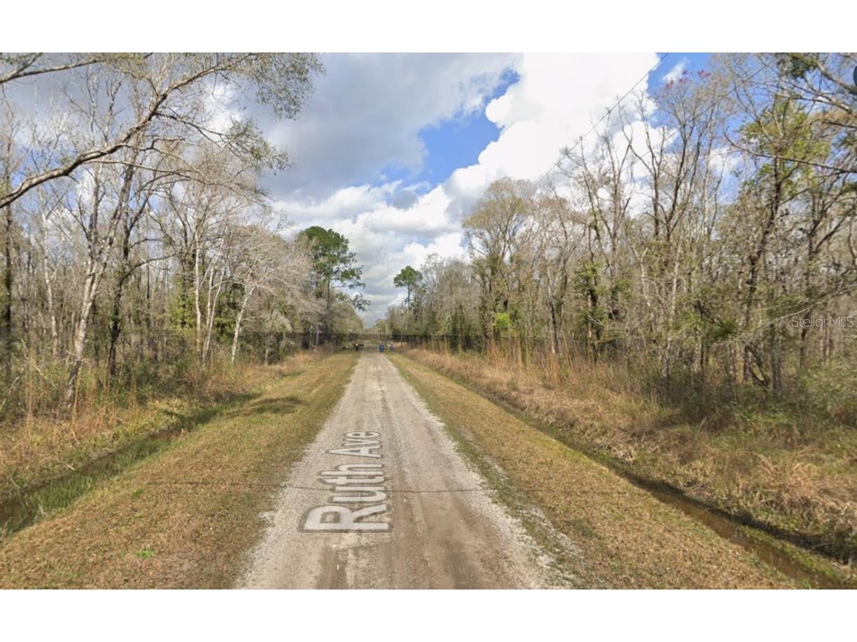 10535 Ruth Avenue Hastings FL 32145 FC313017 image1