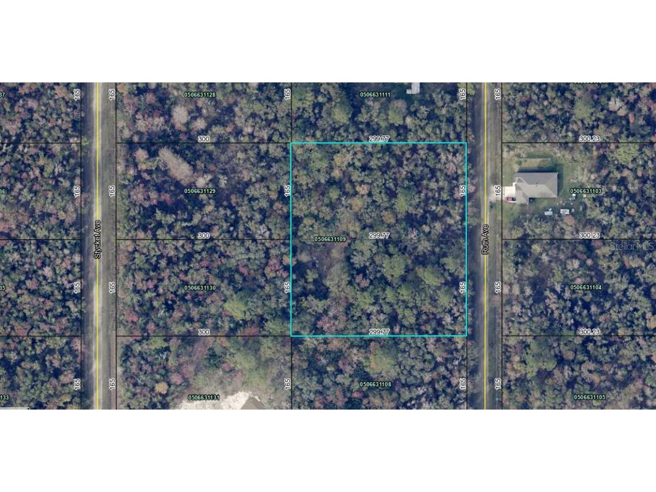 10535 Ruth Avenue Hastings FL 32145 FC313017 image2