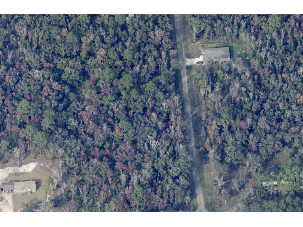 10535 Ruth Avenue Hastings FL 32145 FC313017 image5