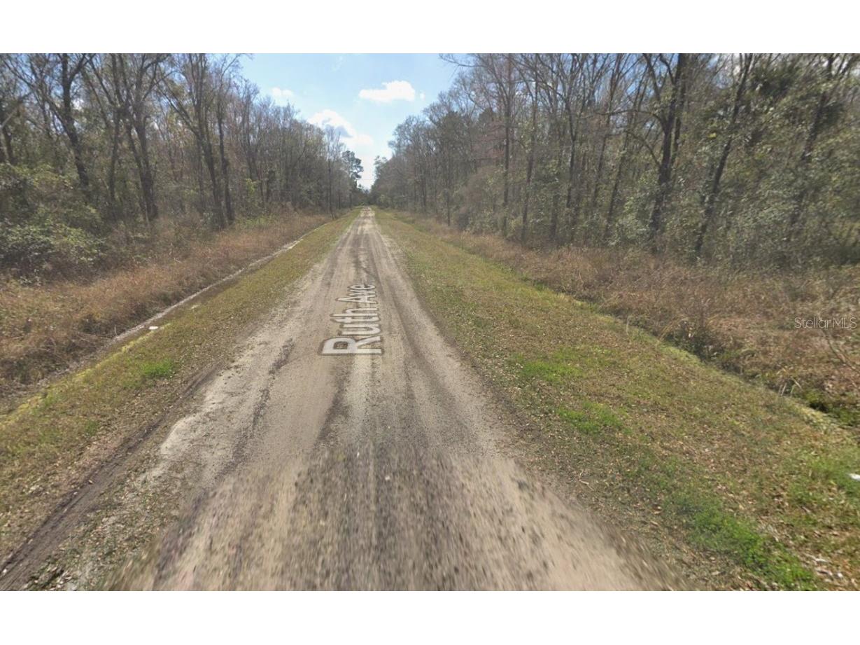 10535 Ruth Avenue Hastings FL 32145 FC313017 image8