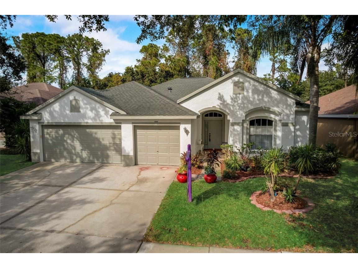 10535 Weybridge Drive Tampa FL 33626 T3457615 image1