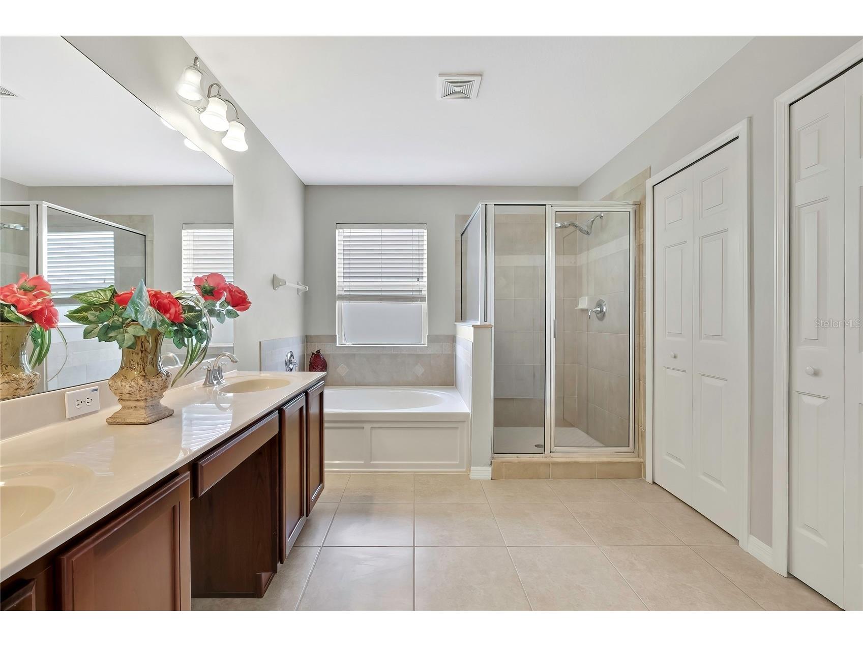 10536 Coral Key Avenue Tampa FL 33647 TB8501975 image29