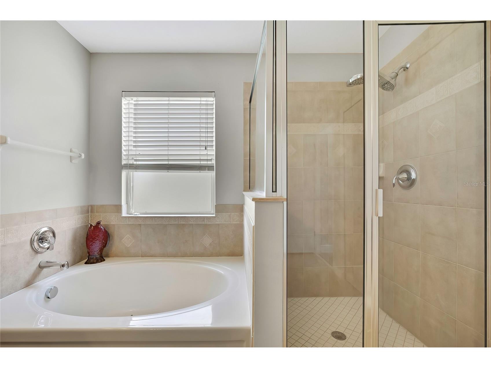 10536 Coral Key Avenue Tampa FL 33647 TB8501975 image32