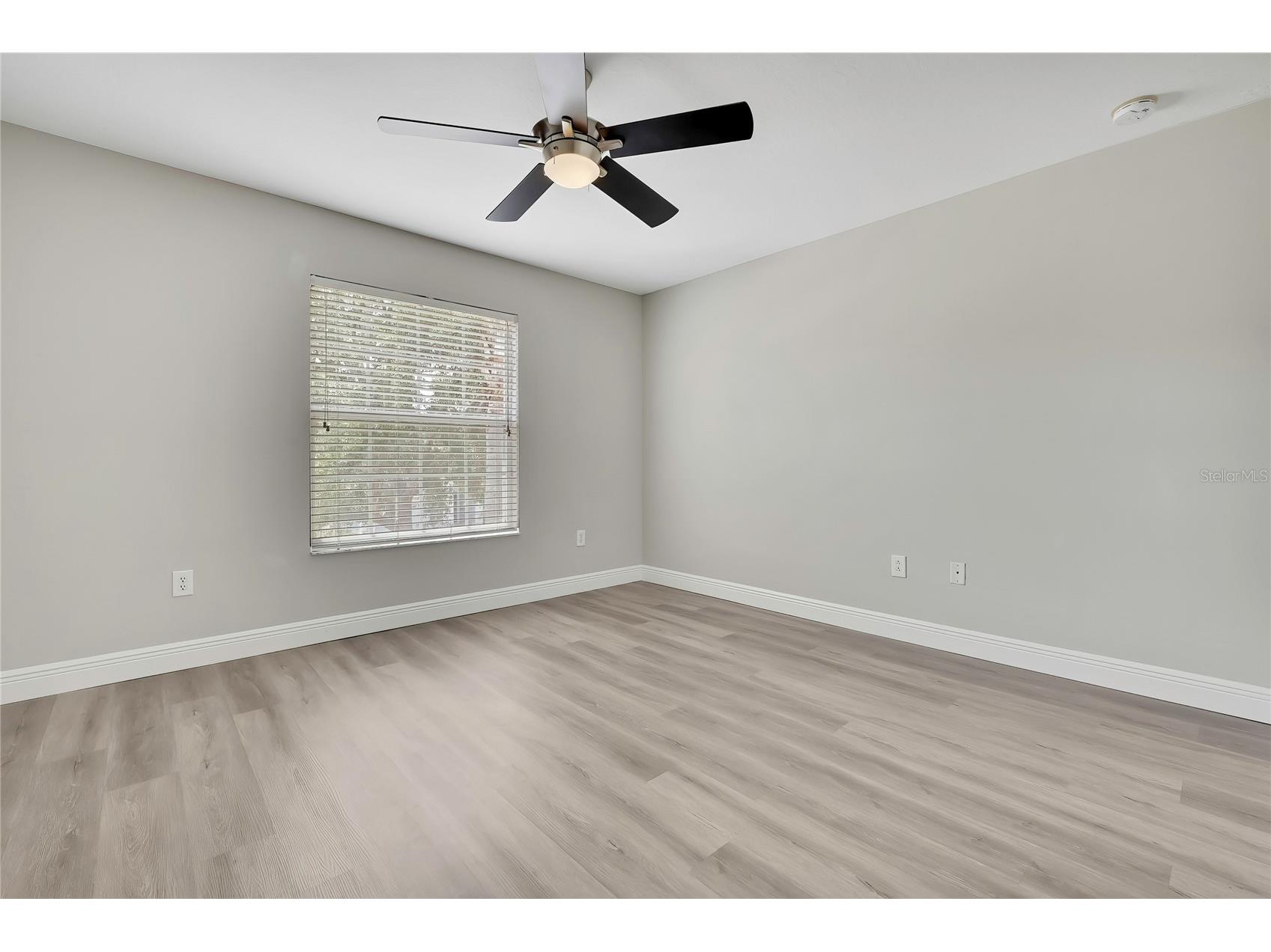 10536 Coral Key Avenue Tampa FL 33647 TB8501975 image33