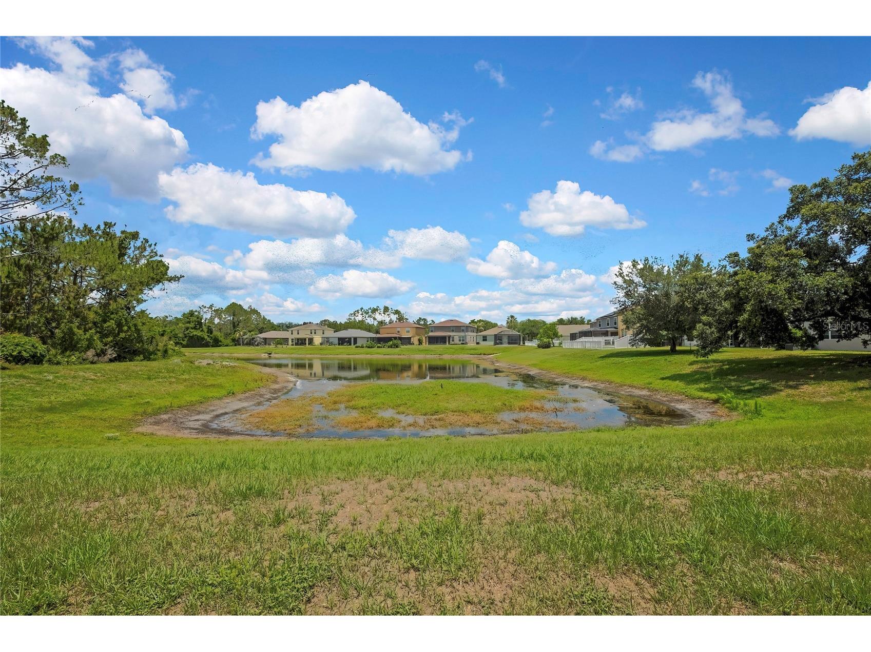 10536 Coral Key Avenue Tampa FL 33647 TB8501975 image57