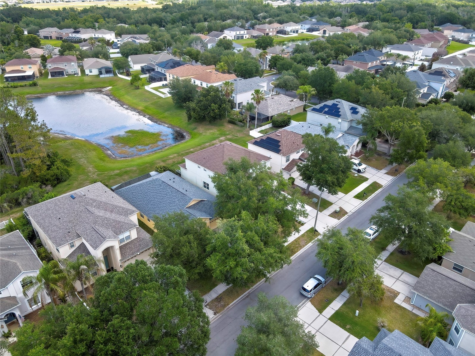 10536 Coral Key Avenue Tampa FL 33647 TB8501975 image59