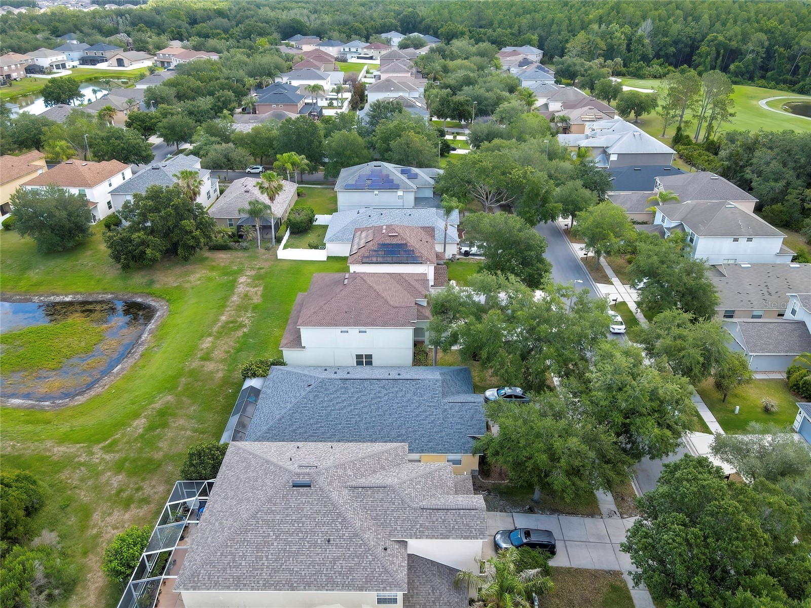 10536 Coral Key Avenue Tampa FL 33647 TB8501975 image63