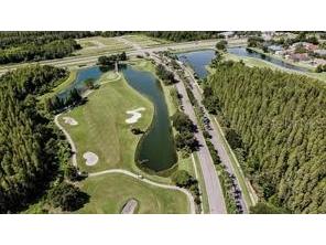 10536 Coral Key Avenue Tampa FL 33647 TB8501975 image66
