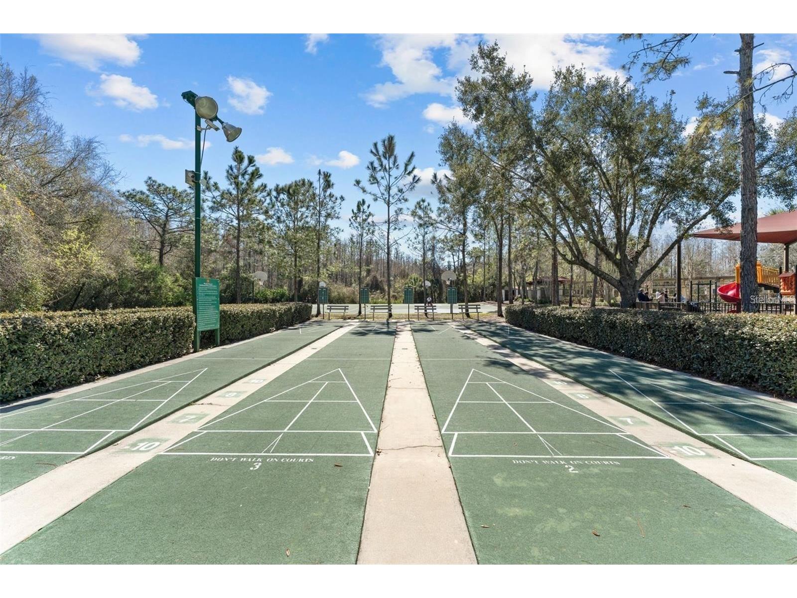 10536 Coral Key Avenue Tampa FL 33647 TB8501975 image70