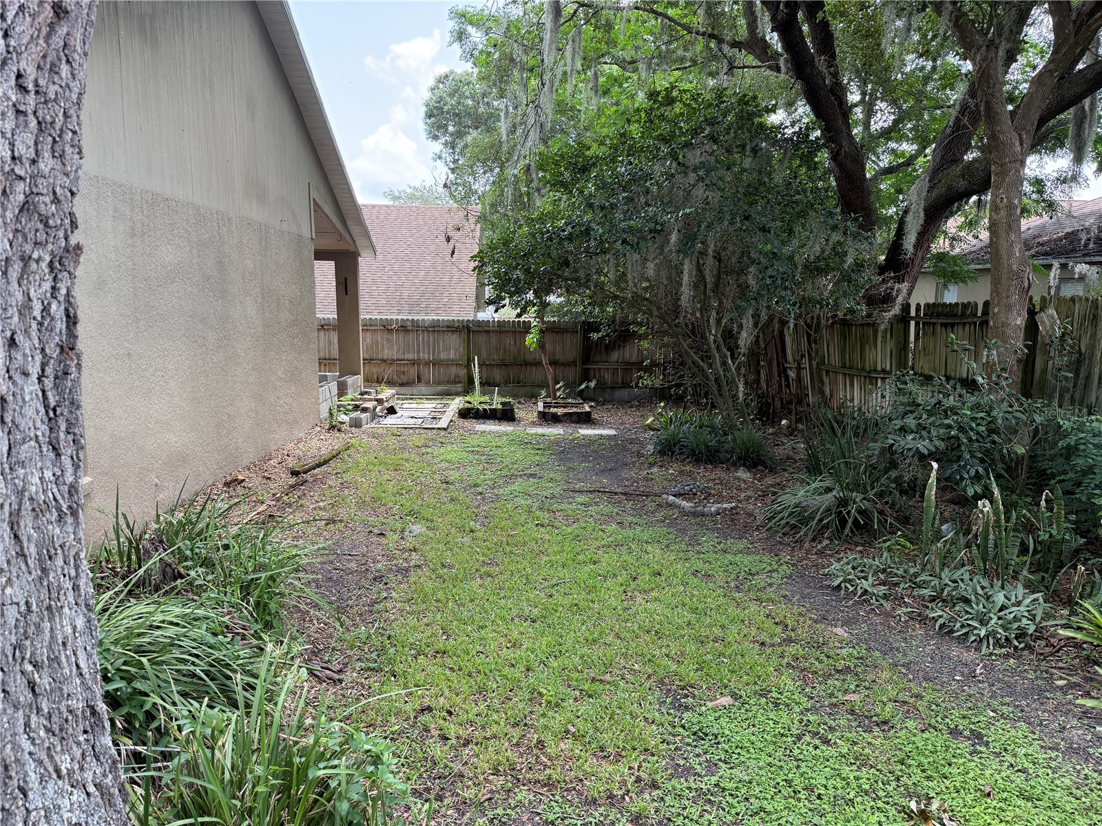 10536 Rodondo Drive Orlando FL 32817 O6423598 image20