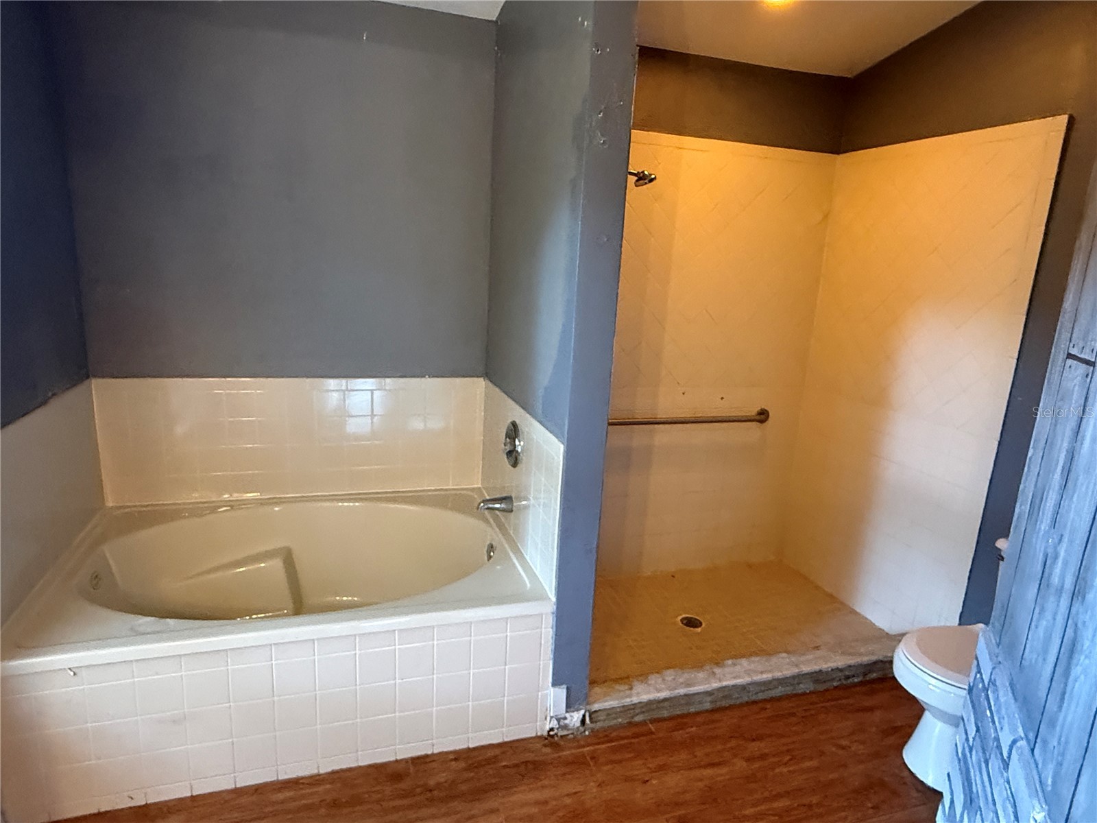 10536 Rodondo Drive Orlando FL 32817 O6423598 image21