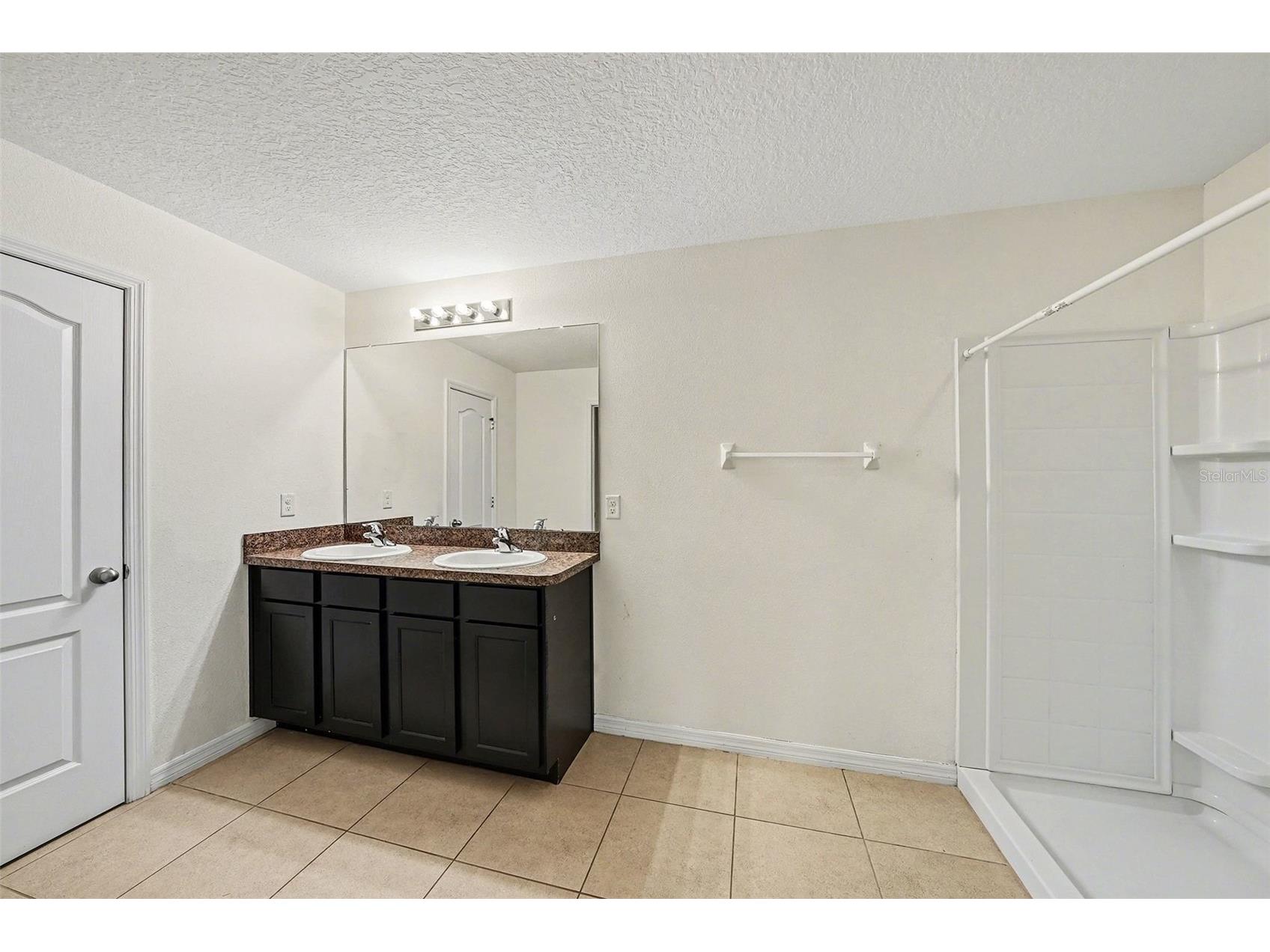 10536 Whispering Hammock Drive Riverview FL 33578 TB8461463 image18