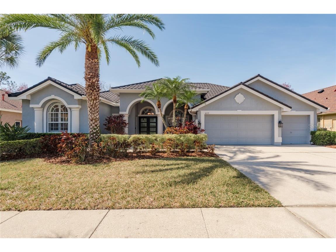 10537 Greensprings Drive Tampa FL 33626 TB8351498 image1