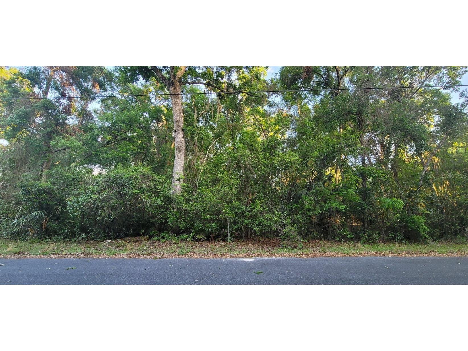 10538 E Boblink Lane Floral City FL 34436 OM698322 image1