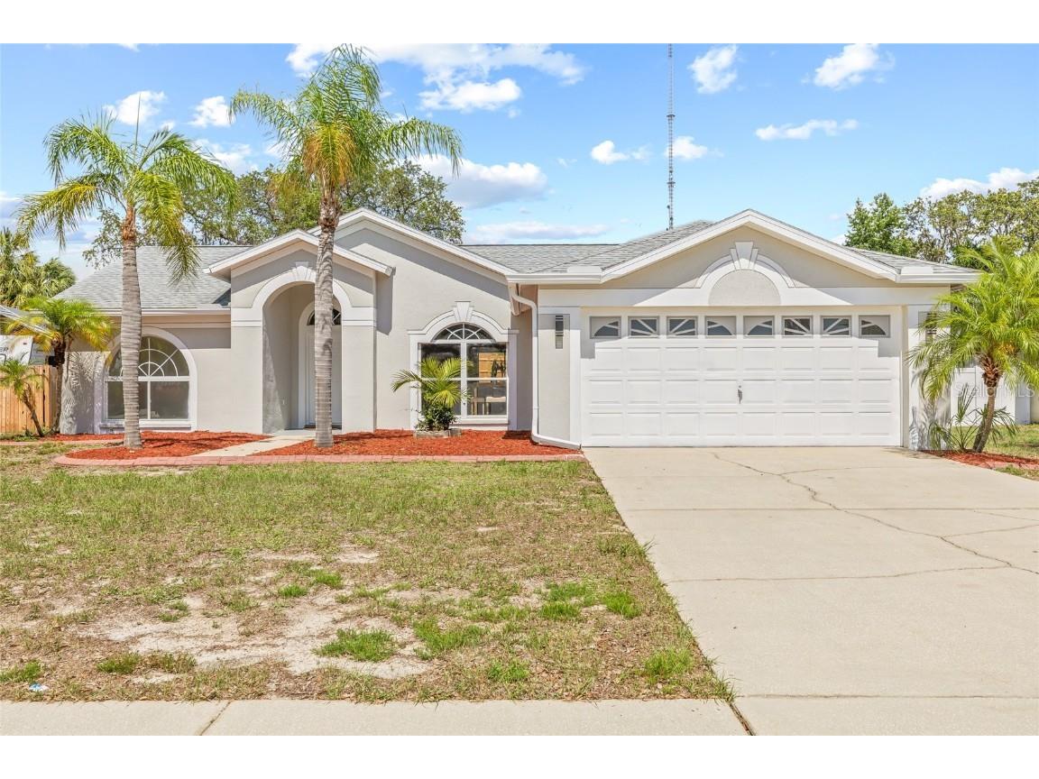 10538 Juliano Drive Riverview FL 33569 TB8389933 image1
