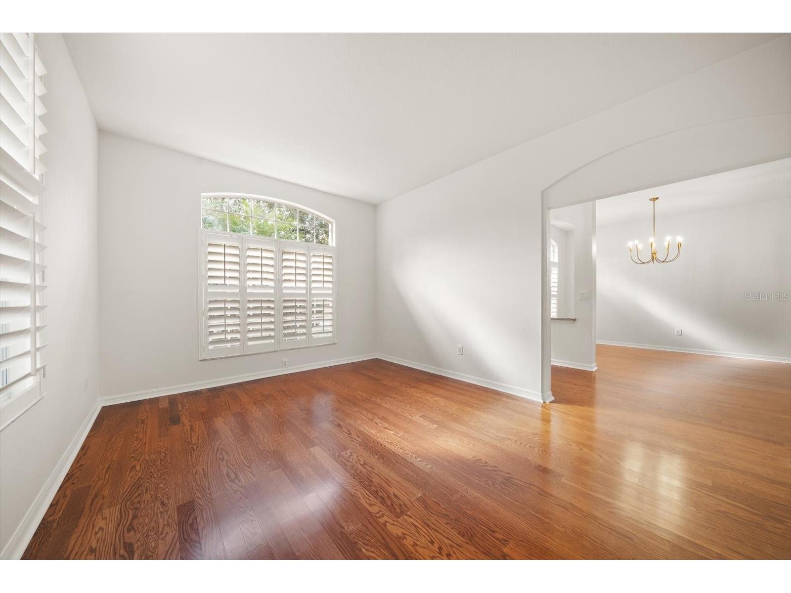 10539 Weybridge Drive Tampa FL 33626 TB8462250 image6