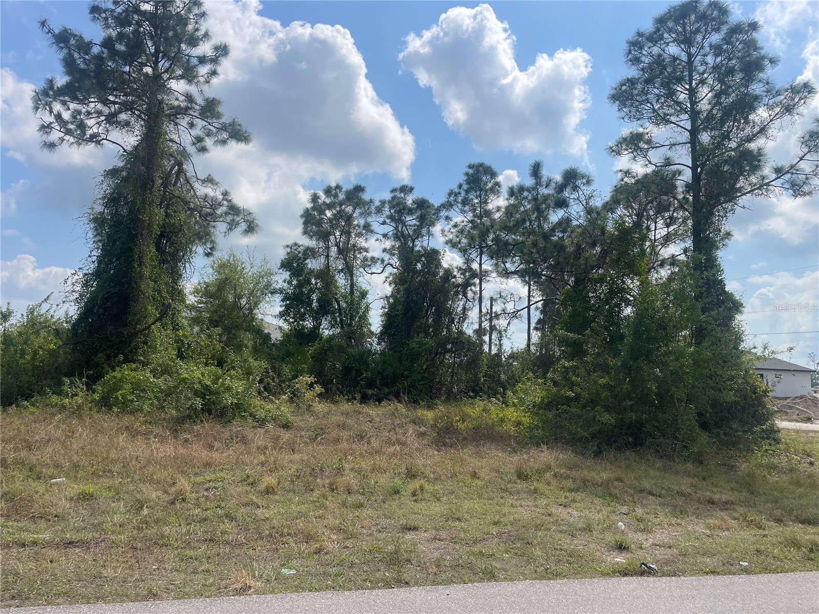 1054/1056 Albert Avenue Lehigh Acres FL 33971 TB8501629 image3