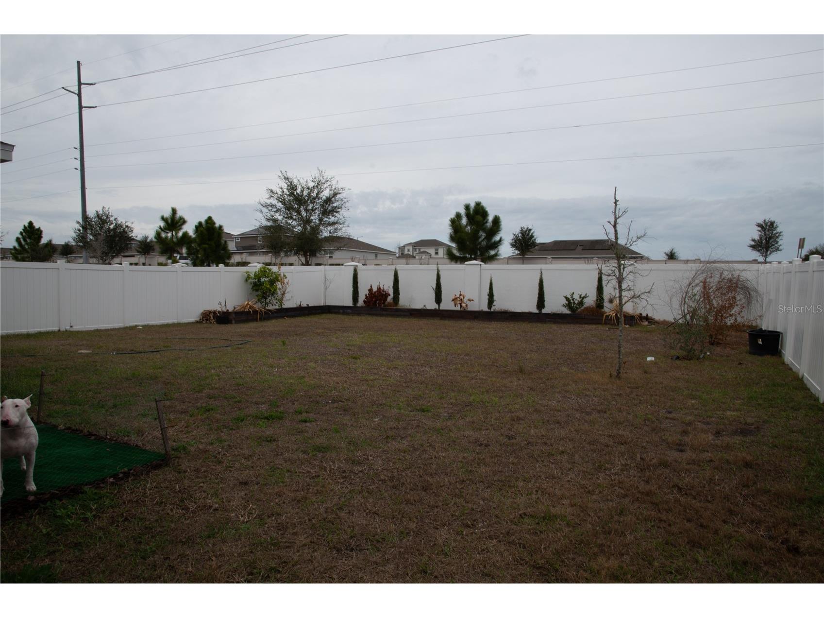 1054 Heirloom Drive Haines City FL 33844 O6389004 image24