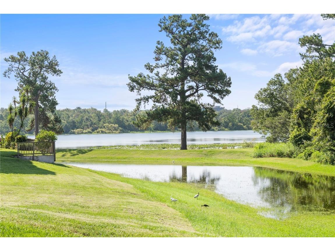 1054 Lotus Cove Court #623 Altamonte Springs FL 32714 - LAKE LOTUS O6336846 image6