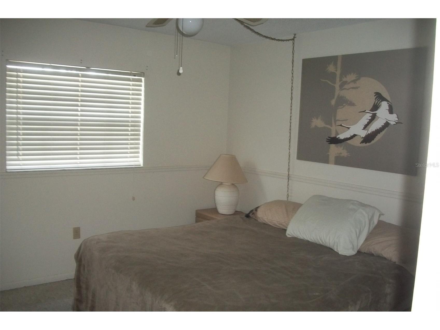 10540 77th Terrace #210 Seminole FL 33772 - LAKE SEMINOLE TB8506268 image7